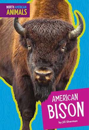 American Bison de Jill Sherman