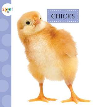 Chicks de Anastasia Suen