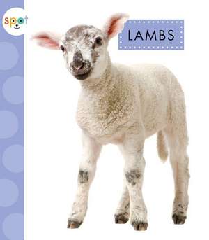 Lambs de Anastasia Suen