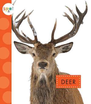 Deer de Mari C. Schuh