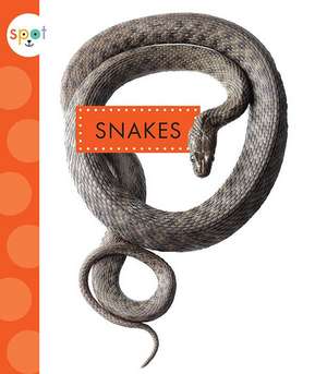 Snakes de Mari C. Schuh