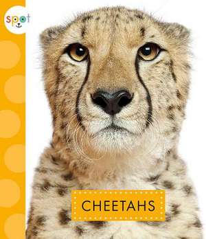 Cheetahs de Mary Ellen Klukow