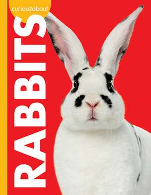 Curious about Rabbits de Jill Sherman