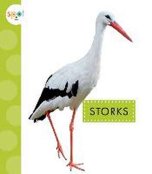 Storks de Lisa Amstutz