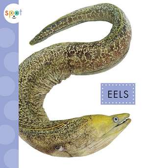 Eels de Mari C. Schuh