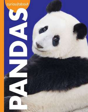 Curious about Pandas de Amy S Hansen