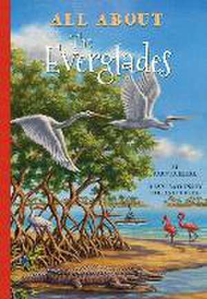 All about the Everglades de Eberl Karuna