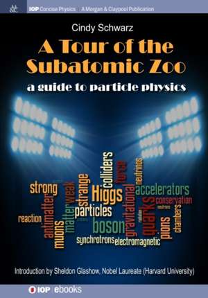 A Tour of the Subatomic Zoo de Cindy Schwarz