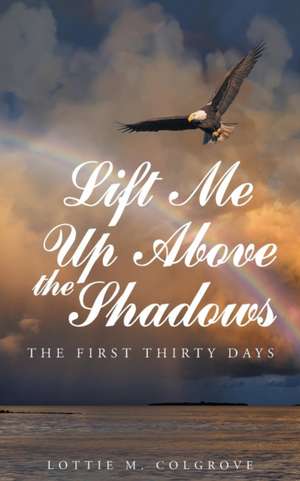 Lift Me up above the Shadows: The First Thirty Days de Lottie M. Colgrove