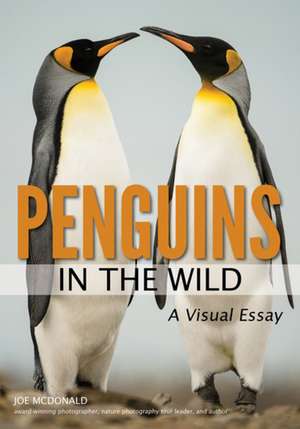 Penguins In The Wild de Joe McDonald