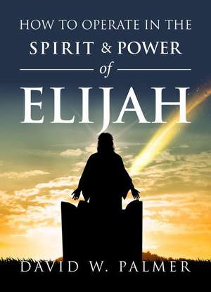 How to Operate in the Spirit and Power of Elijah de David W. Palmer