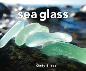 Sea Glass de Cindy Bilbao