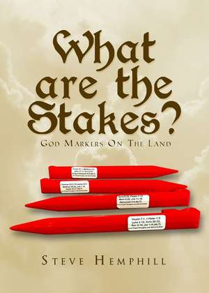 What Are the Stakes? de Steve Hemphill