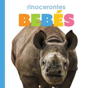 Rinocerontes Bebes de Meg Greve