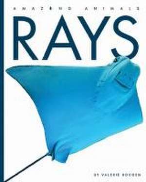 Rays de Valerie Bodden