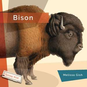 Bison de Melissa Gish