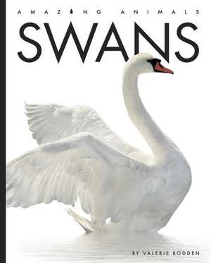 Swans de Valerie Bodden