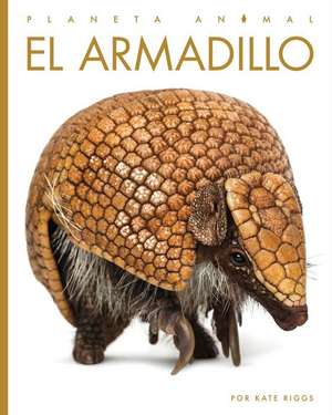 El Armadillo de Kate Riggs