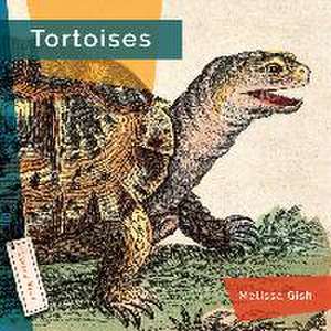 Tortoises de Melissa Gish