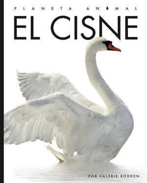 El Cisne de Valerie Bodden