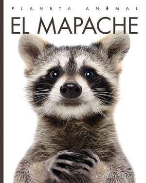 El Mapache de Valerie Bodden