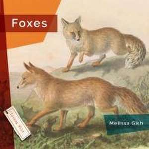 Foxes de Melissa Gish