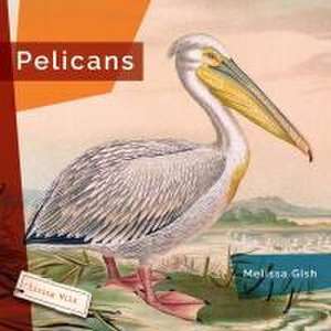 Pelicans de Melissa Gish