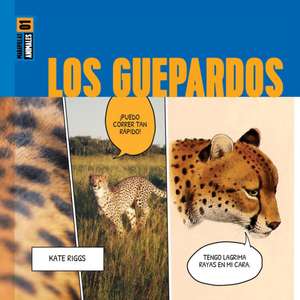 Los Guepardos de Kate Riggs