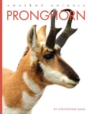 Pronghorn de Christopher Bahn