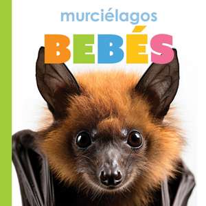 Murcielagos Bebes de Meg Greve