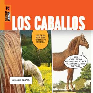 Los Caballos de Quinn M Arnold