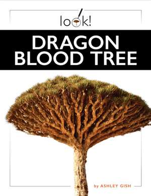 Dragon Blood Tree de Ashley Gish