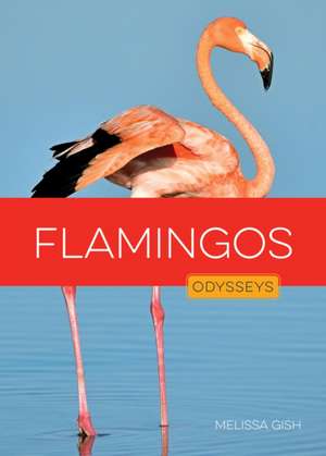 Flamingos de Melissa Gish