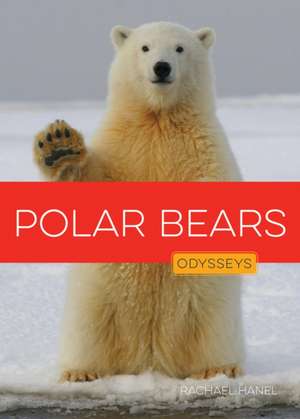 Polar Bears de Rachael Hanel