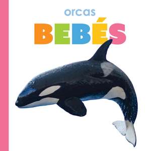 Orcas Bebés de Kim Thompson