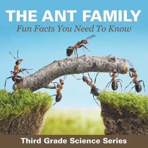 The Ant Family - Fun Facts You Need To Know de Baby