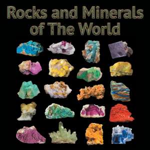 Rocks and Minerals of The World de Baby