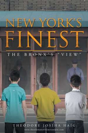 New York's Finest: The Bronx's "View" de Theodore Josiha Haig