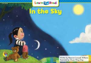 In the Sky de Rozanne Williams