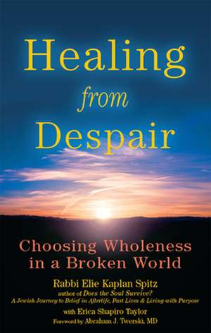 Healing from Despair de Elie Kaplan Spitz