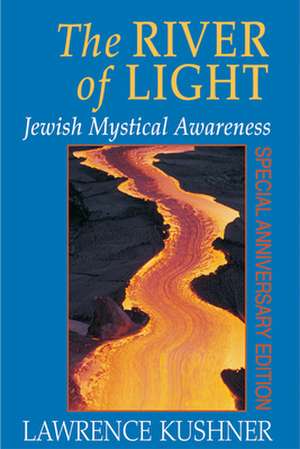 The River of Light de Rabbi Lawrence Kushner