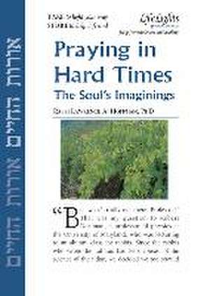 Praying in Hard Times-12 Pk de Jewish Lights Publishing