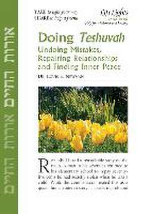 Doing Teshuvah-12 Pk de Jewish Lights Publishing