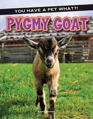 Pygmy Goat de Karen Kenney