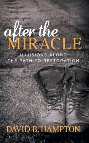 After the Miracle de Hampton, David B.