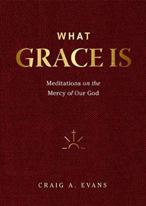 What Grace Is de Craig A Evans