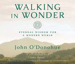 Walking in Wonder: Eternal Wisdom for a Modern World. de Pat O'Donohue