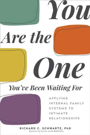 You Are the One You've Been Waiting for de Richard Schwartz