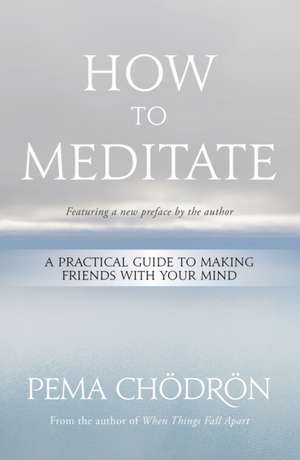 How to Meditate de Pema Chödrön