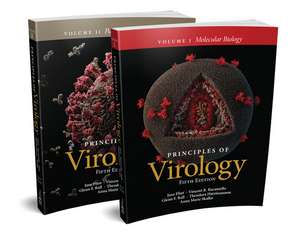 Principles of Virology, Fifth Edition Multi–Volume de Flint